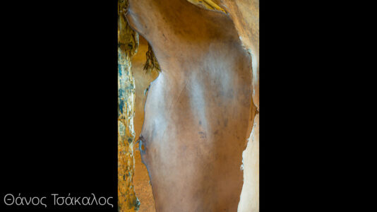 Θάνος Τσάκαλος