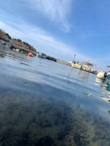 ΛΕΒΙΝ ΔΗΜΟΠΟΥΛΟΣ