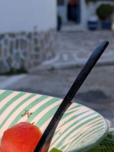 ΧΡΙΣΤΙΝΑ ΠΑΠΑΝΑΓΙΩΤΑΚΗ