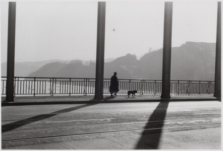 Han Youngsoo